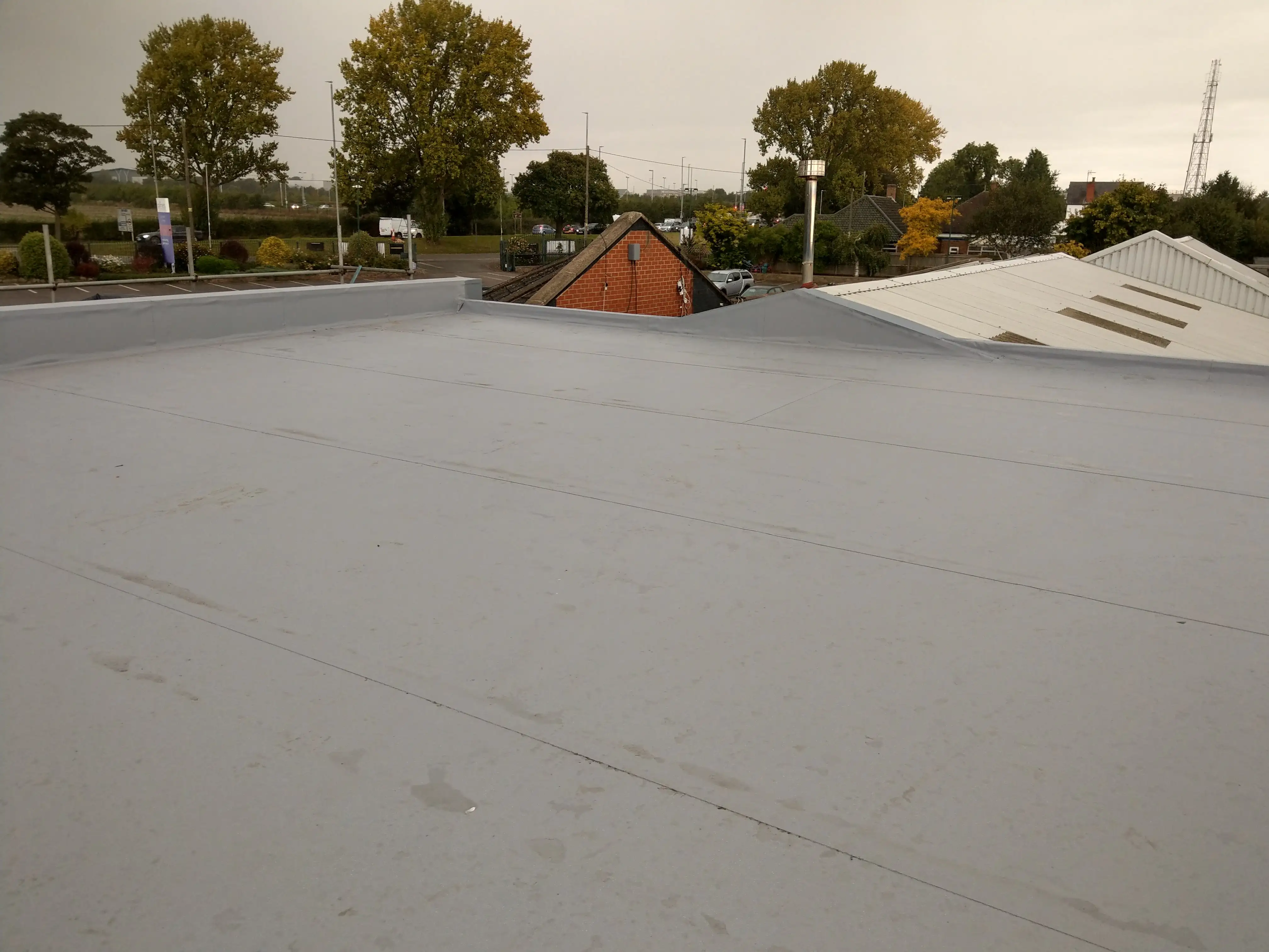 IMAG0929.jpg